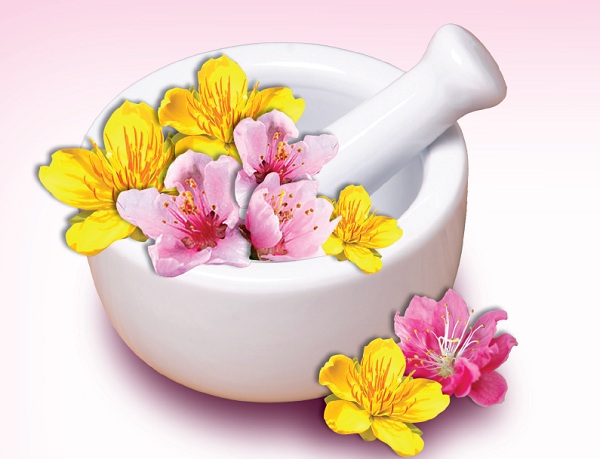 Mai khoe sắc, đào diễm lệ, những đóa hoa là dược quý ngày xuân